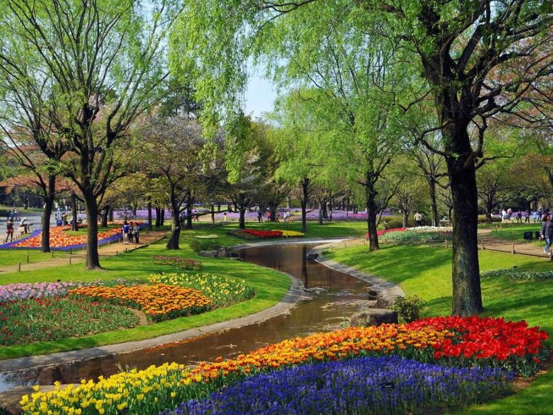 Tulip Garden with Stream — Green
