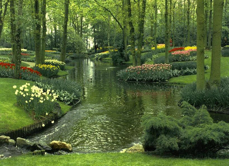 Tulip Garden with Stream