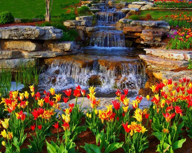 Tulip Garden with Waterfall — Red