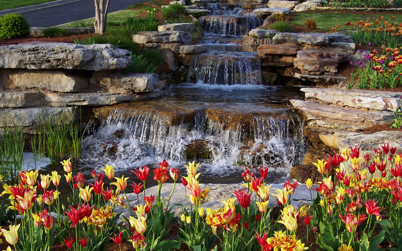 Tulip Garden with Waterfall