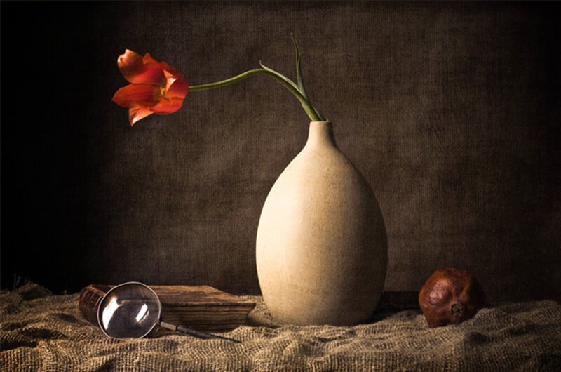 Tulip in Vase