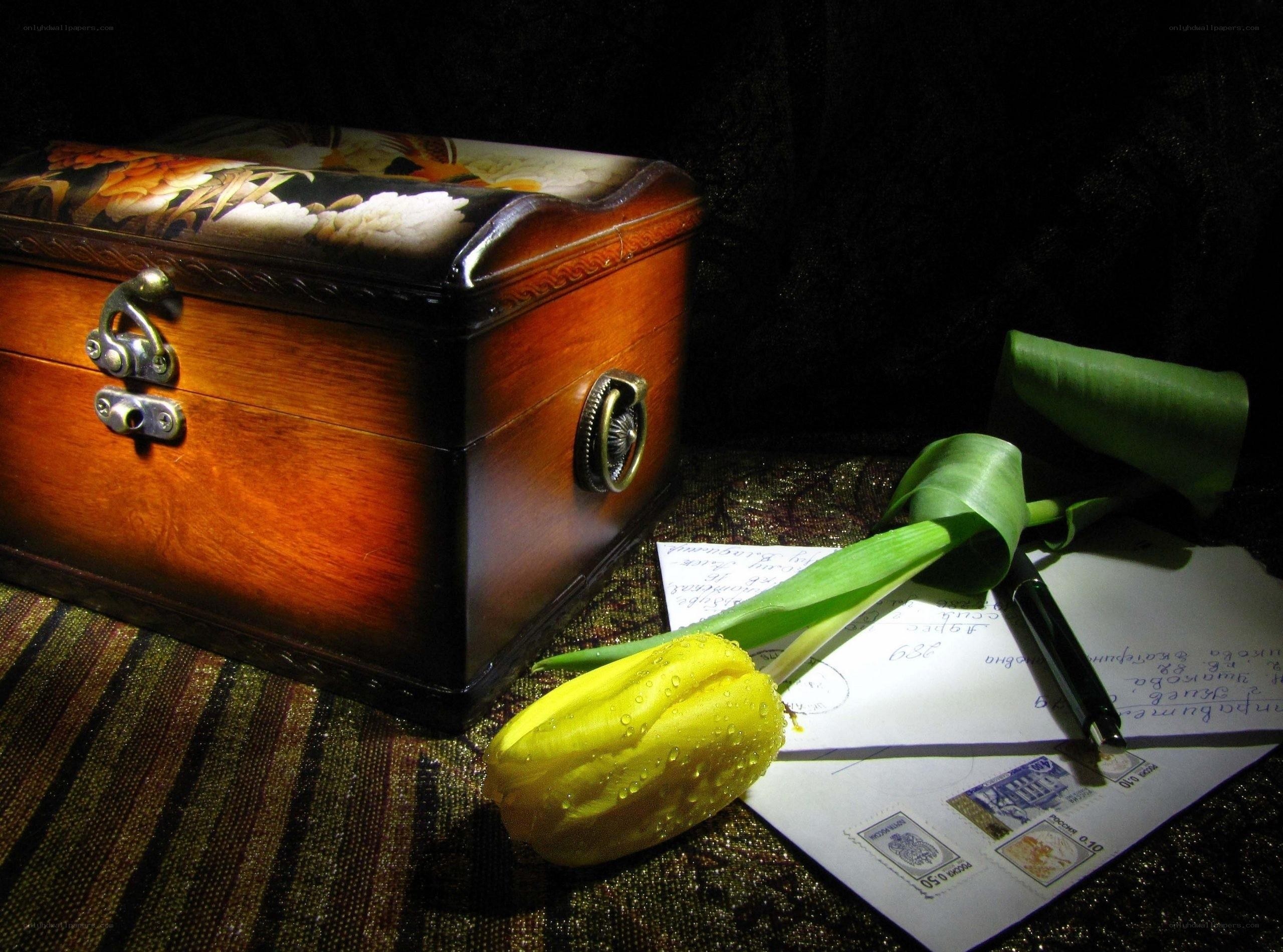Tulip, letter, and wooden box