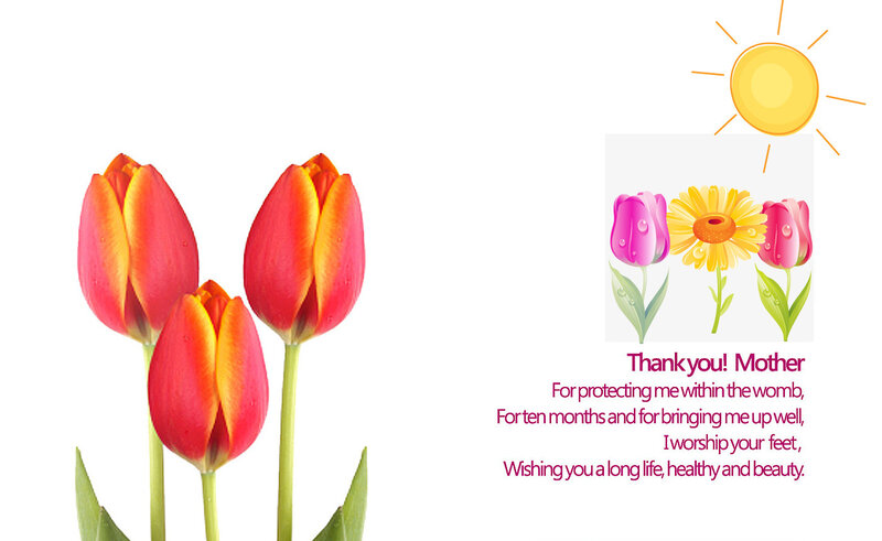 Tulips and a Mother's Thank You