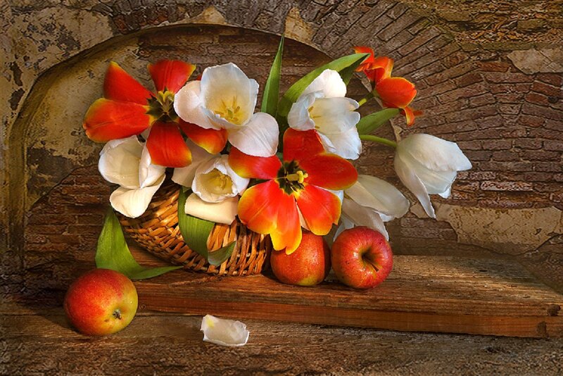 Tulips and Apples in Basket — White
