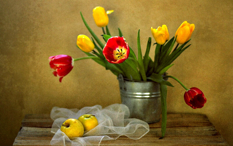 Tulips and Apples in Bucket