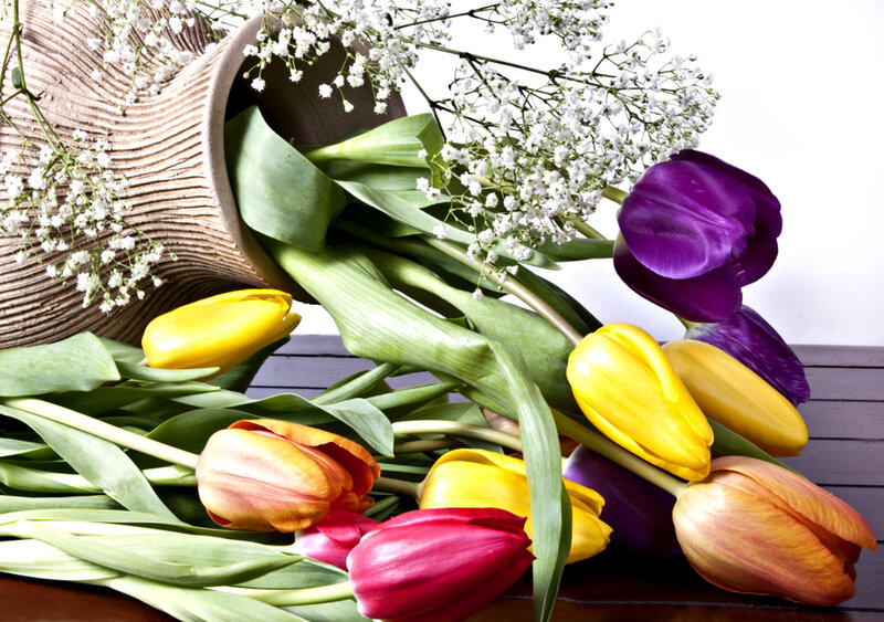 Tulips and Baby's Breath — Yellow