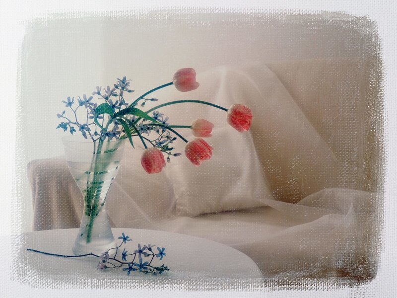Tulips and Blue Flowers — Pink