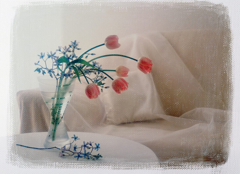 Tulips and Blue Flowers — White, Serene, Photograph, Vase