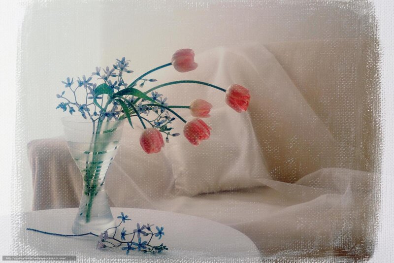 Tulips and Blue Flowers — White, Serene