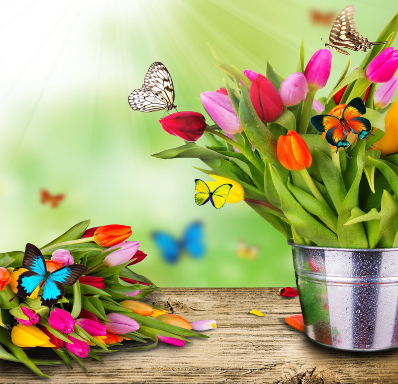 Tulips and Butterflies — Green, Bright