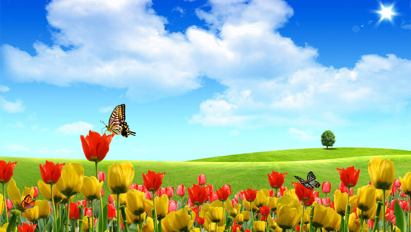 Tulips and Butterflies — Green