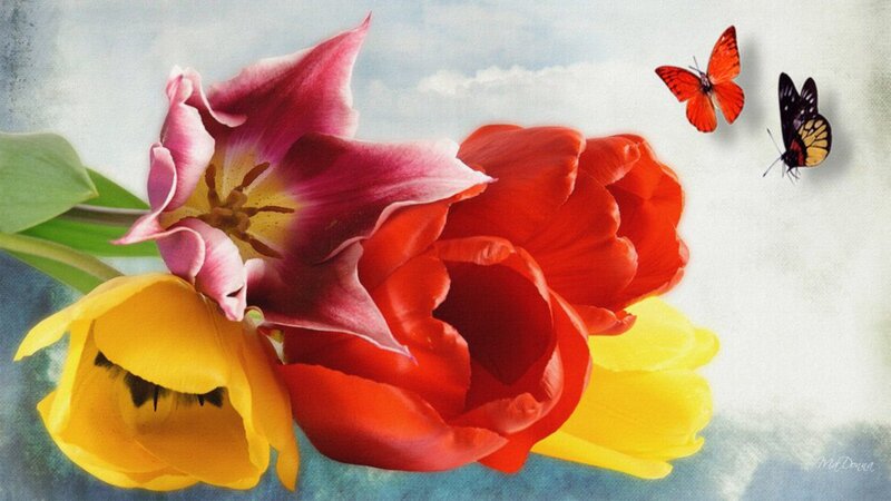 Tulips and Butterflies — Red, Serene