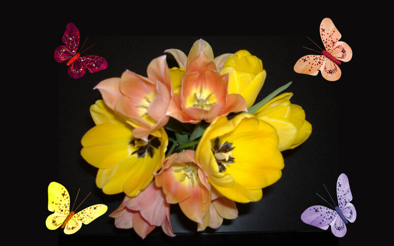 Tulips and Butterflies — Yellow