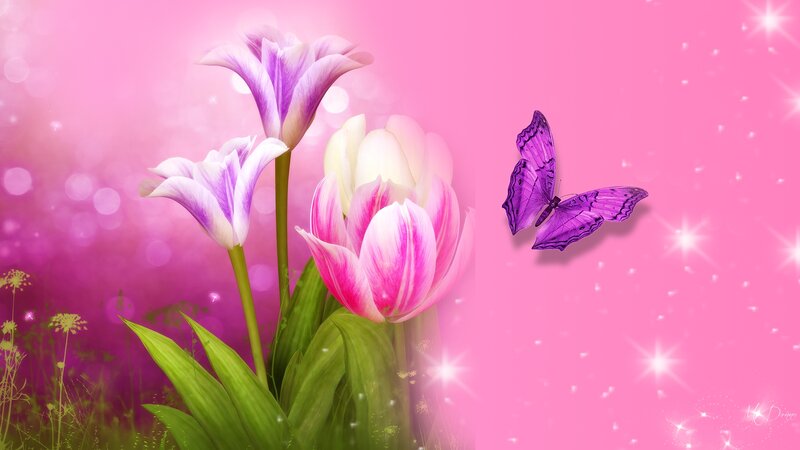 Tulips and Butterfly — Pink