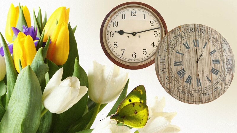 Tulips and Butterfly