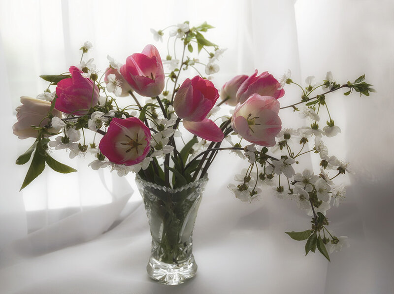 Tulips and Cherry Blossoms — Pink