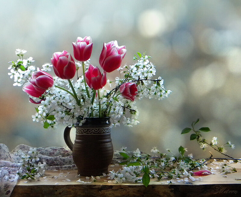 Tulips and Cherry Blossoms