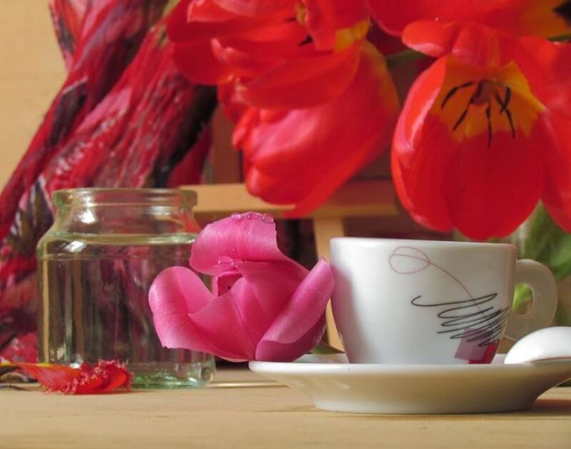 Tulips and Coffee Cup