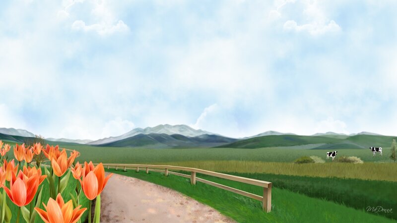 Tulips and Cows in Field
