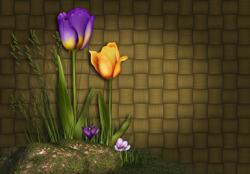 Tulips and Crocuses