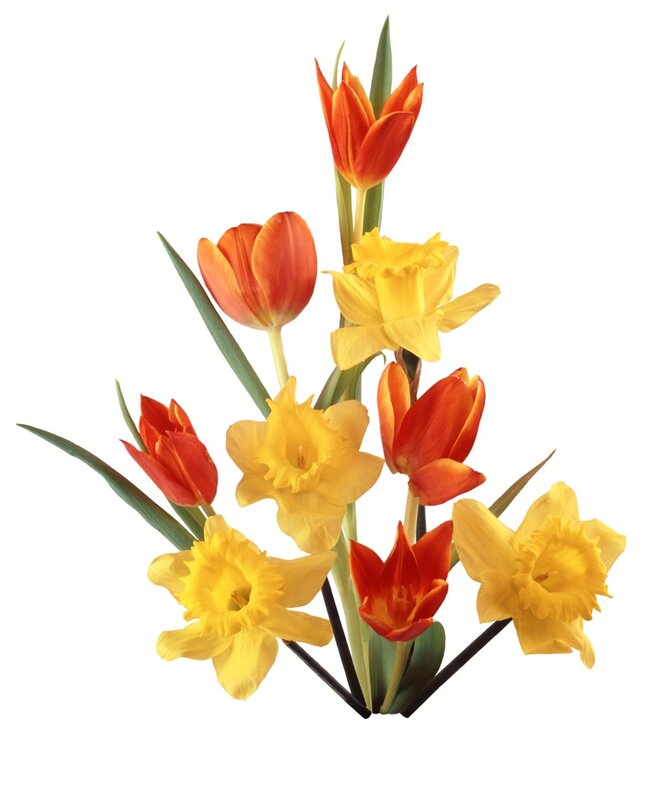 tulips and daffodils bouquet