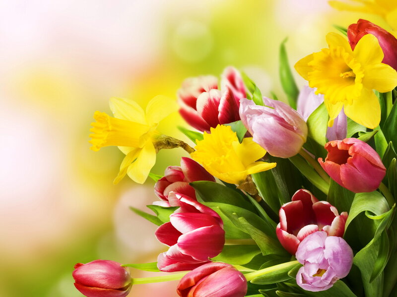 Tulips and Daffodils Bouquet — Yellow