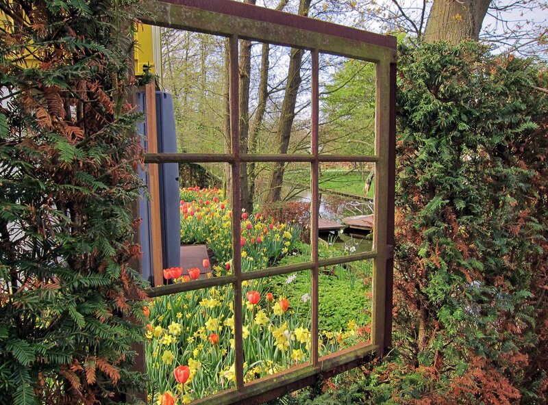 Tulips and Daffodils in Garden — Yellow