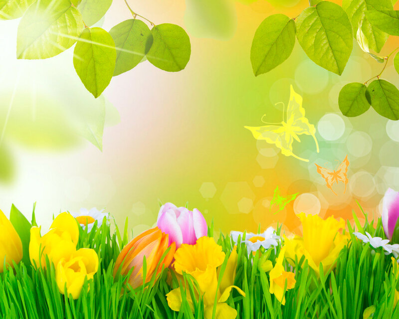 Tulips and Daffodils in Grass — Green, Bright