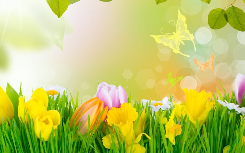 Tulips and Daffodils in Grass — Green