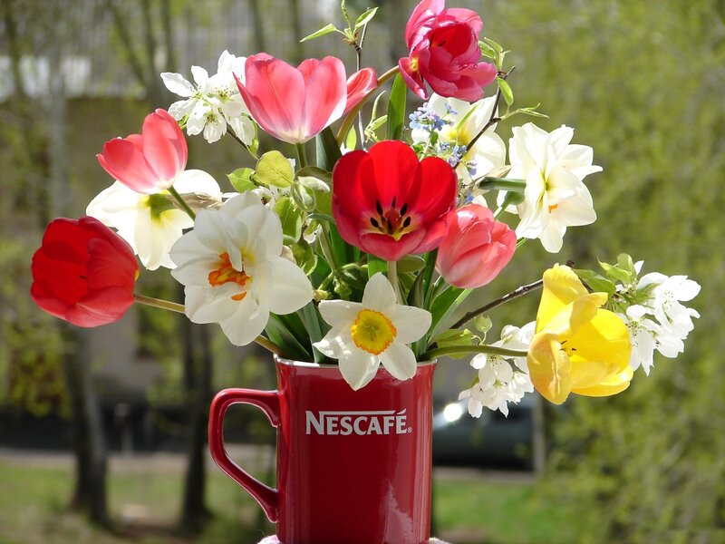 Tulips and Daffodils in Mug
