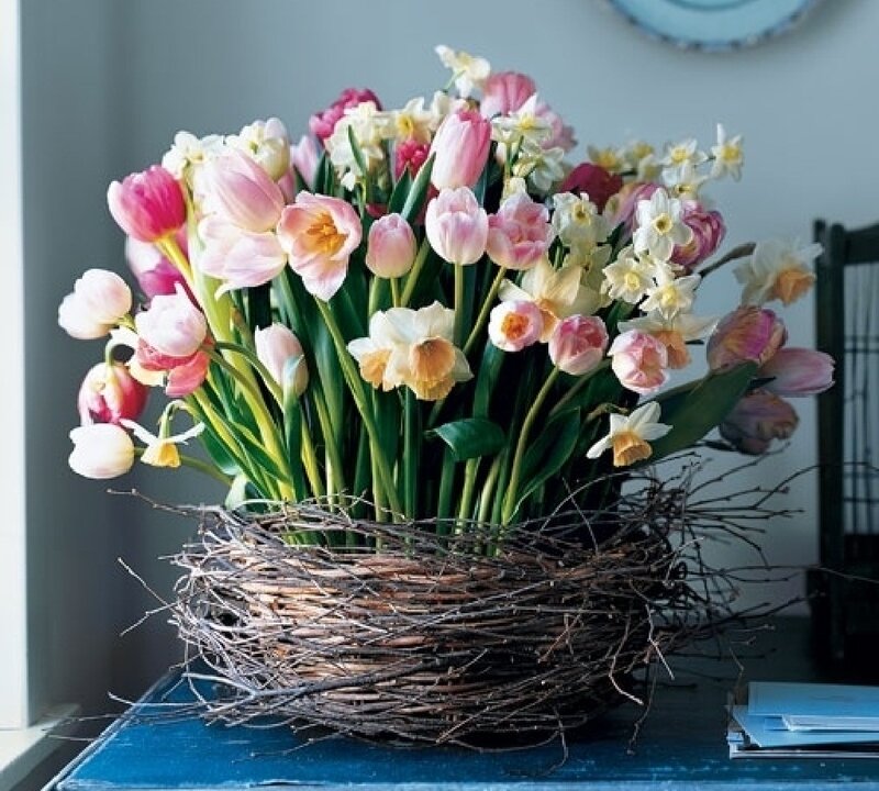 Tulips and Daffodils in Nest