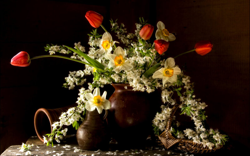 Tulips and Daffodils in Vases