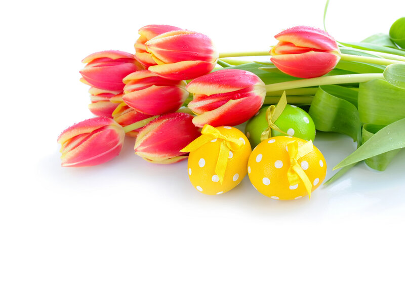 Tulips and Decorated Eggs — Red