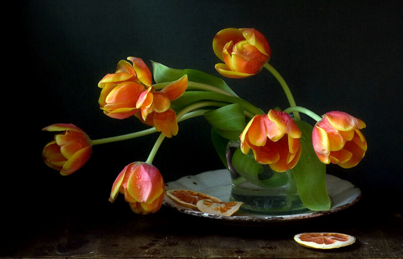 tulips and dried citrus