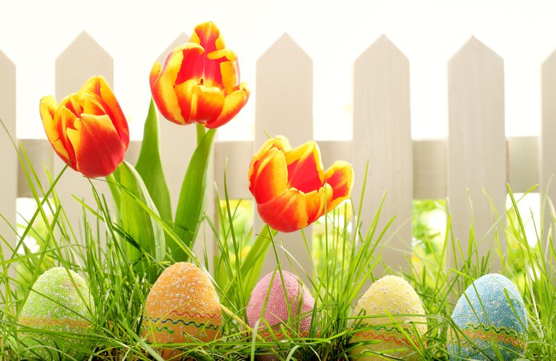 Tulips and Easter Eggs — Green
