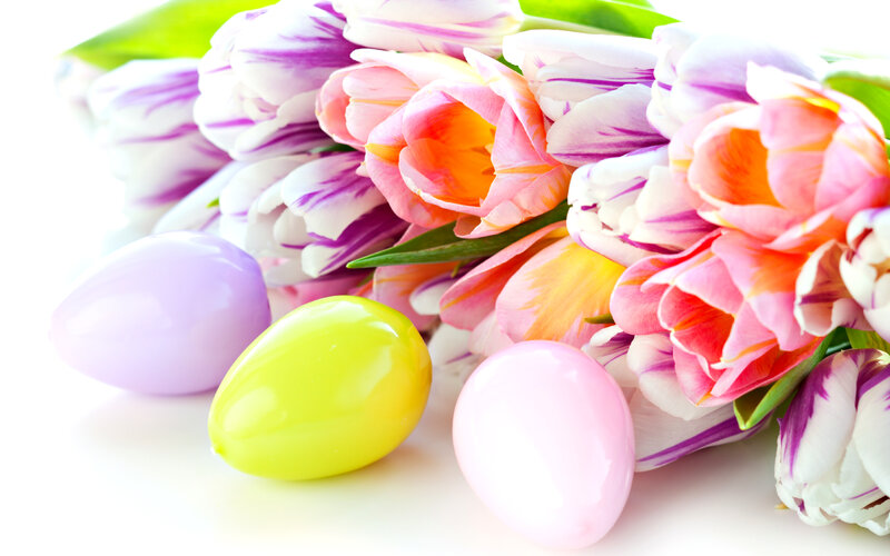 Tulips and Easter Eggs — Pink