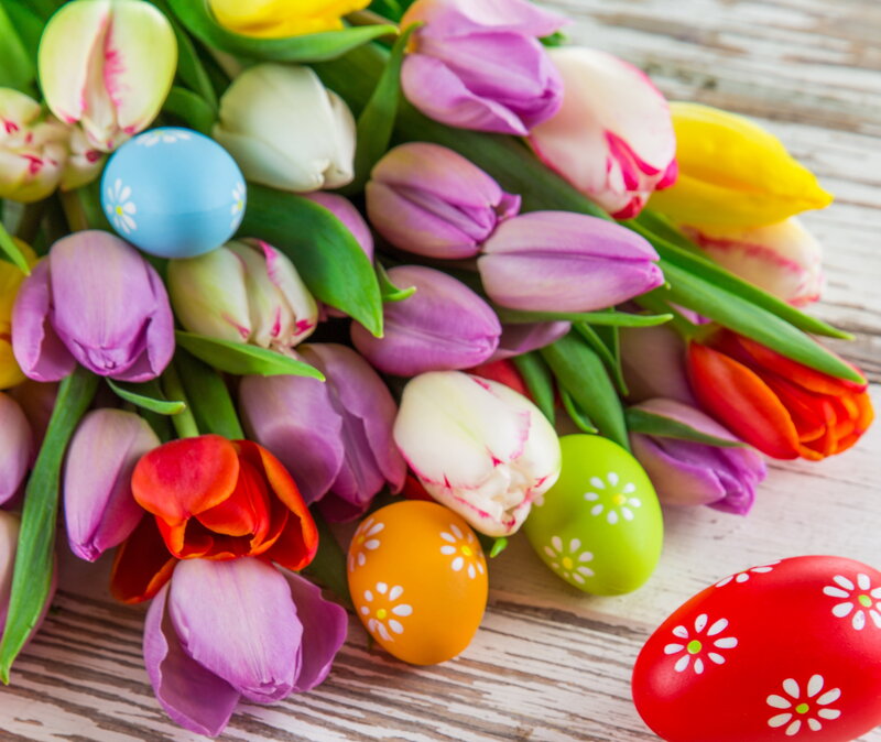 Tulips and Easter Eggs — Purple