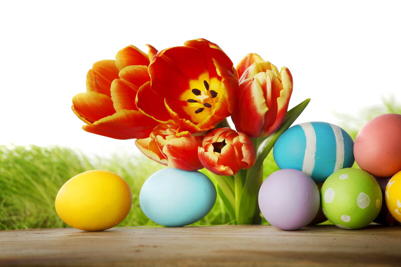 Tulips and Easter Eggs — Red, Festive, Spring, Photograph
