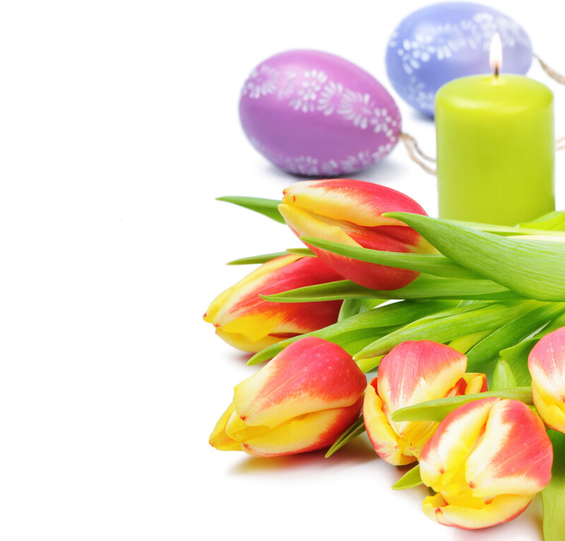 Tulips and Easter Eggs — Red, Festive, Spring