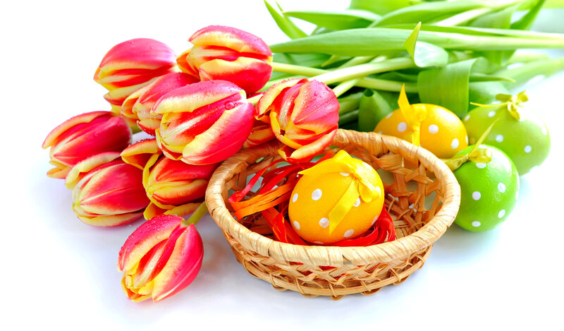 Tulips and Easter Eggs — Red, Festive