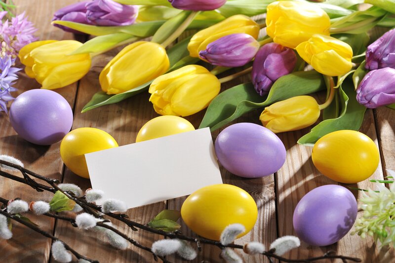 Tulips and Easter Eggs — Yellow, Festive