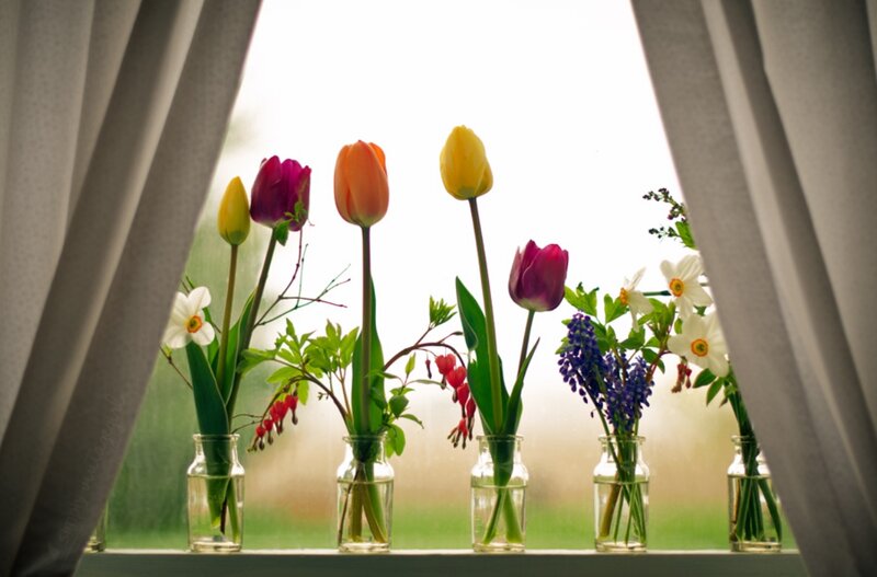 Tulips and Flowers in Vases