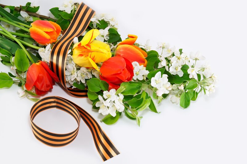 Tulips and Flowers — Red, Peaceful