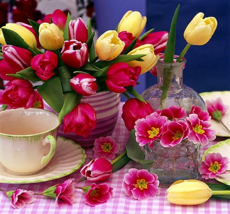 Tulips and Flowers
