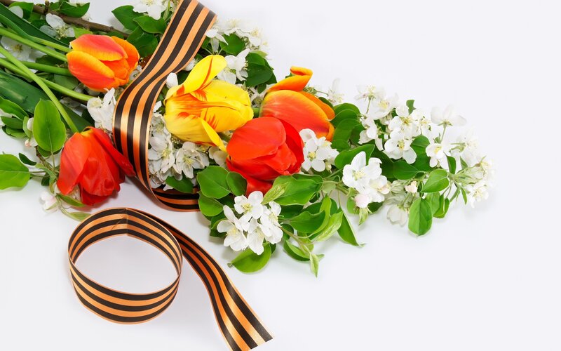 Tulips and Flowers — White