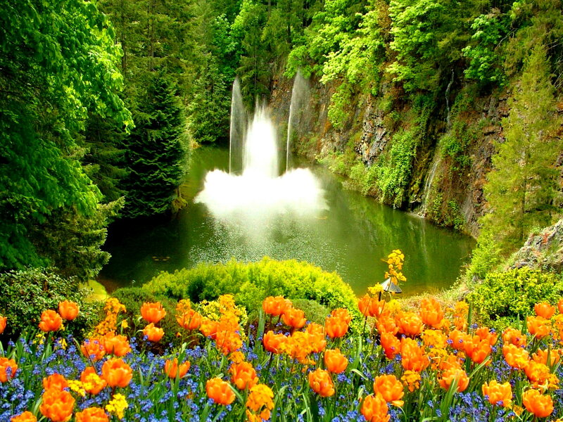 Tulips and Fountain — Orange