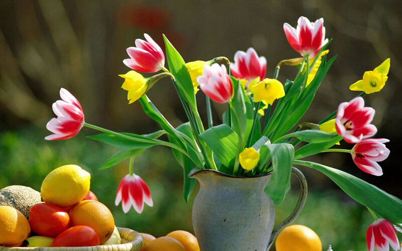 Tulips and Fruit in Pitcher