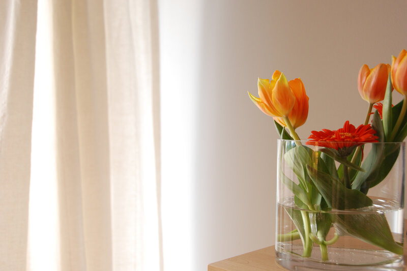Tulips and Gerbera in Vase