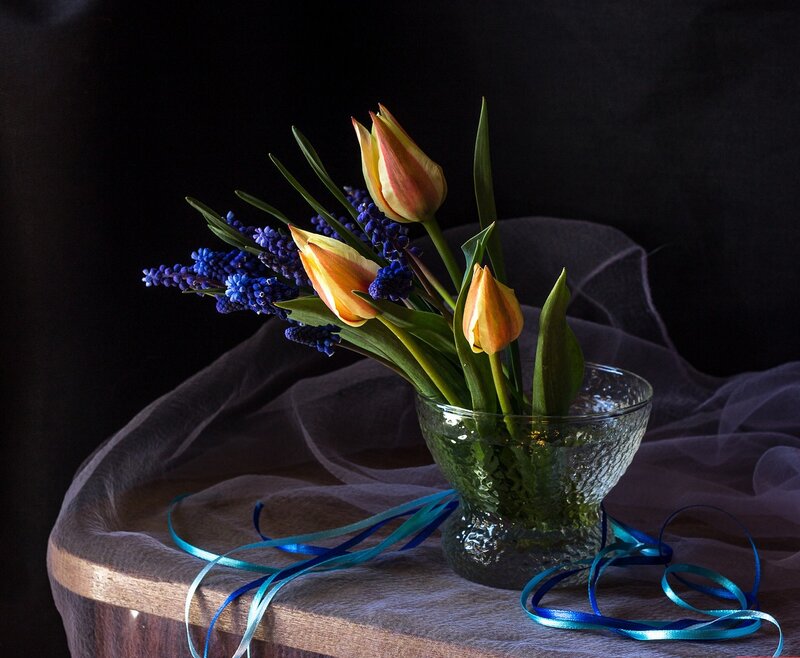 Tulips and Grape Hyacinths — Blue
