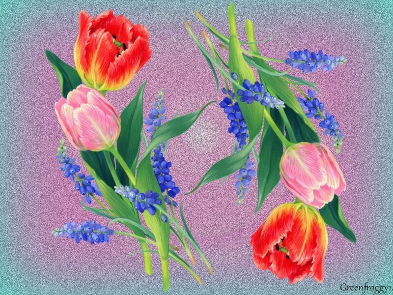 Tulips and Grape Hyacinths — Pink, Calm